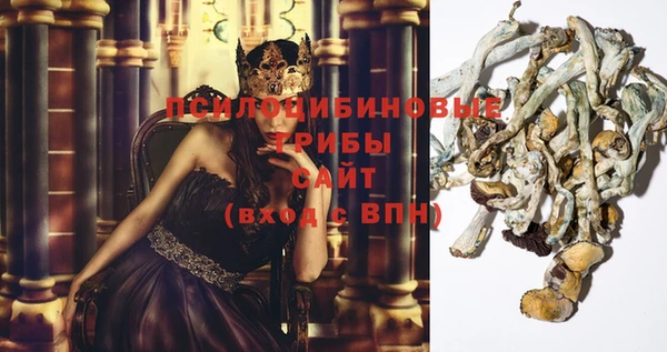 дурь Алзамай