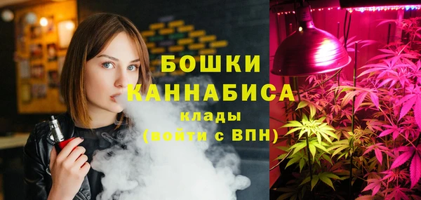 дурь Алзамай